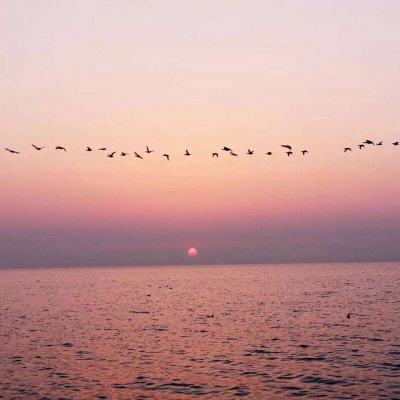 半岛综合体育APP