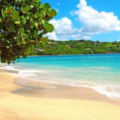 乐鱼app(中国体育)官方网站app下载