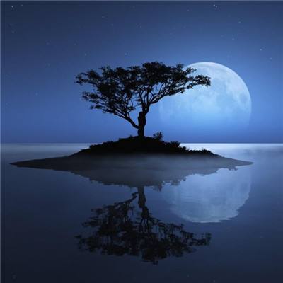 2023澳门资料大全正版app下载