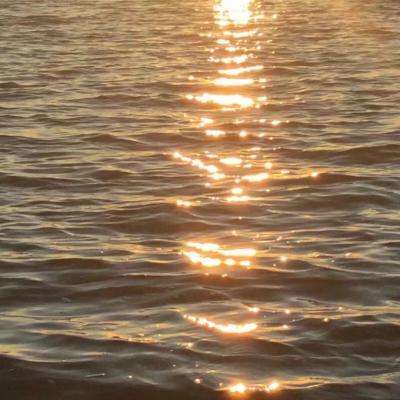 香港资料大全手机app下载